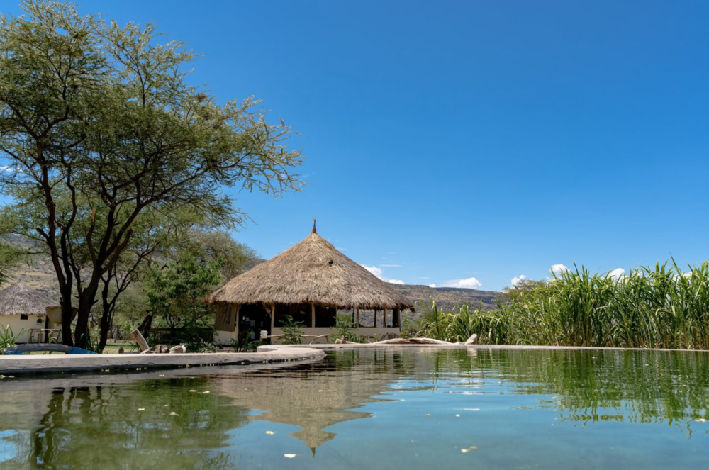 Maasai Giraffe Echo Lodge