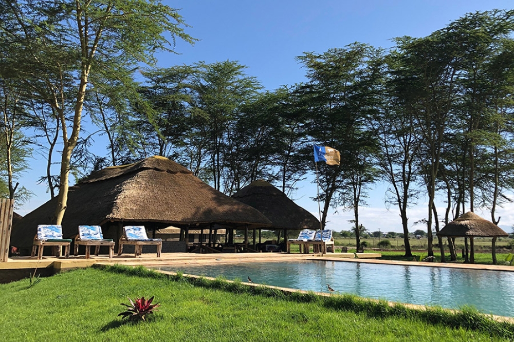 Africa Safari Lake Manyara